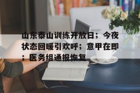山东泰山训练开放日；今夜状态回暖引欢呼；意甲在即；医务组通报恢复的简单介绍